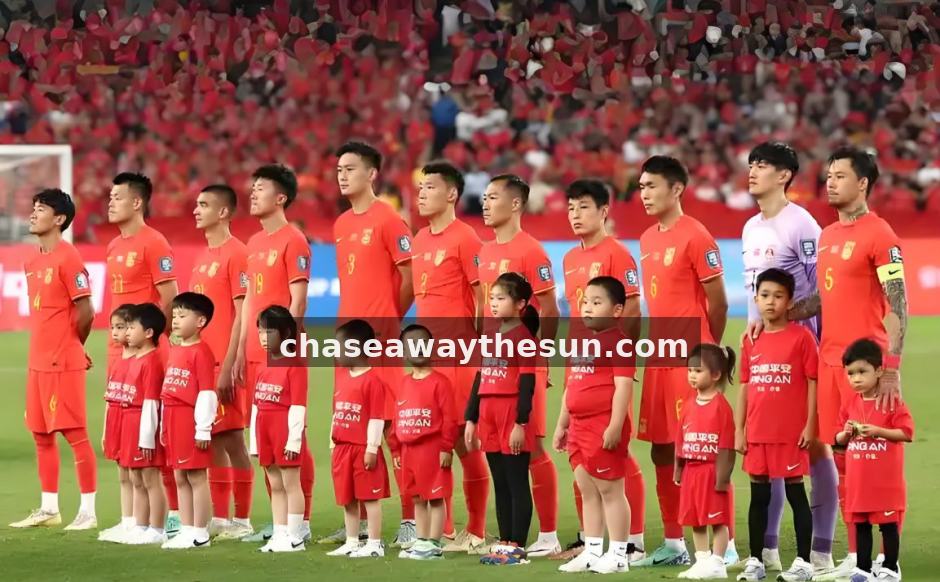 体球网数据接口与内容合作服务